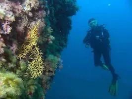 Vistabonita * San Miguel de Abona